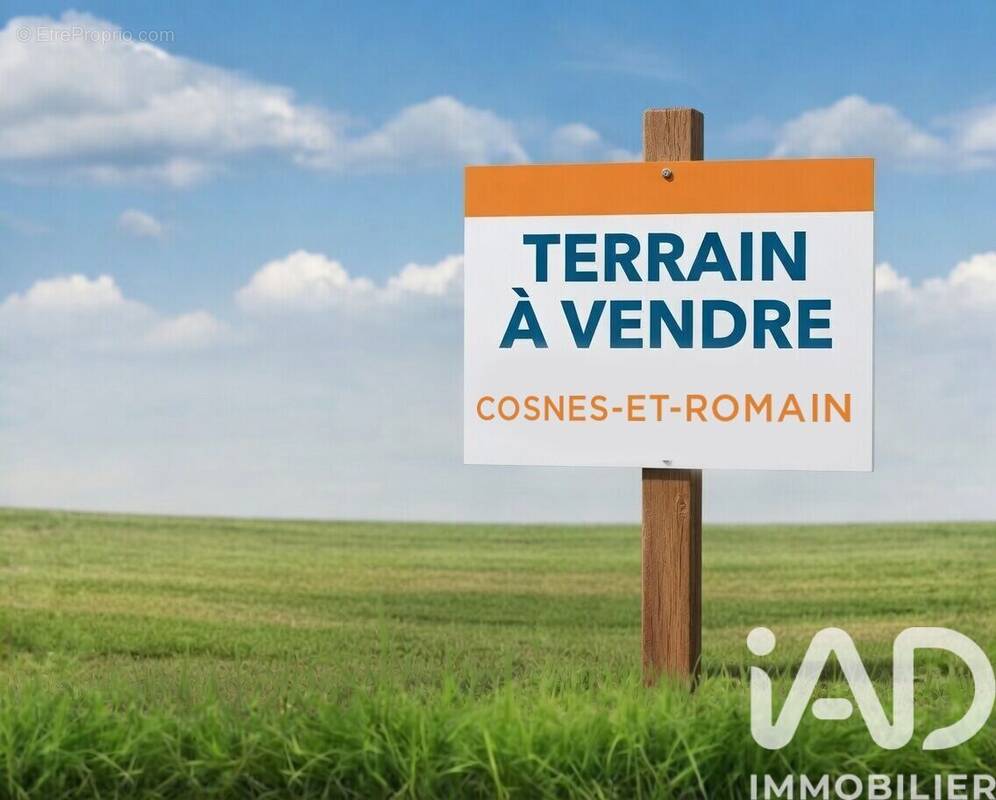 Photo 1 - Terrain à COSNES-ET-ROMAIN