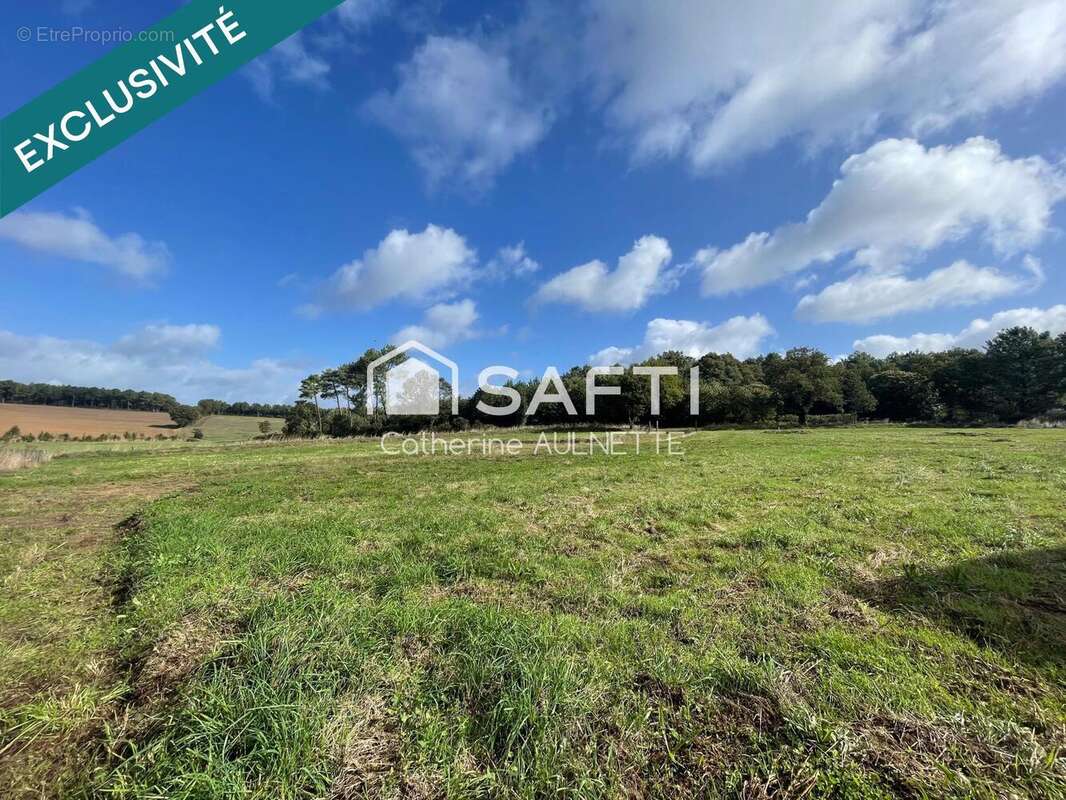 Photo 3 - Terrain à GUEMENE-PENFAO