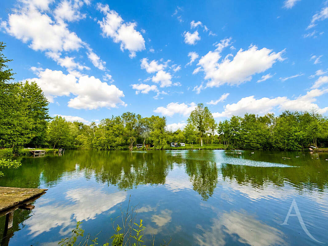 Exceptionnel domaine nature de près de 3 hectares avec étangs et rivière - photo 2