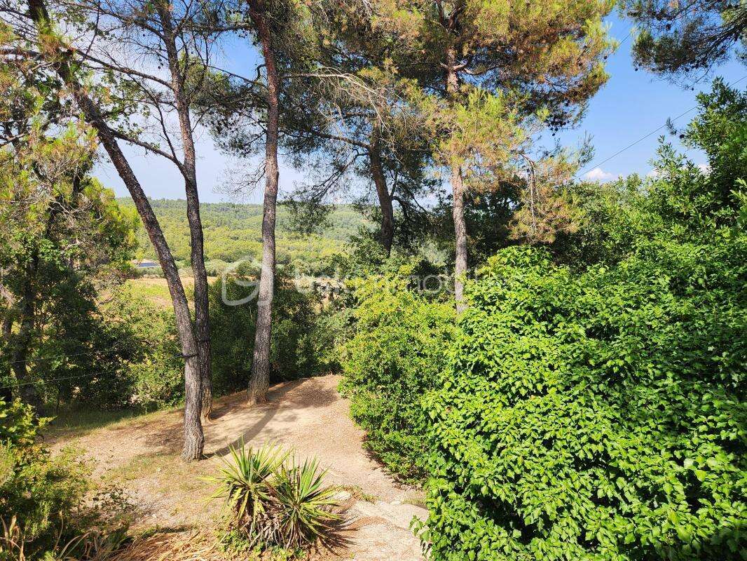 Nouveaute en exclusivite - photo 6
