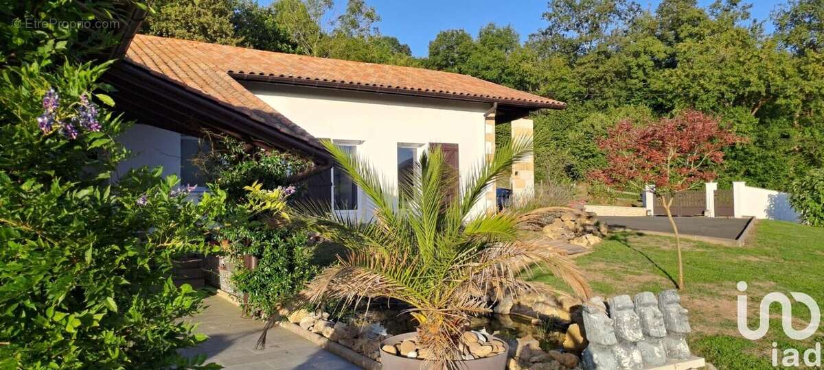 Photo 3 - Maison à LECUMBERRY