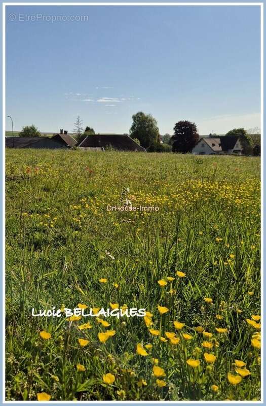 Terrain 2742 m² à Onjon  - photo 35