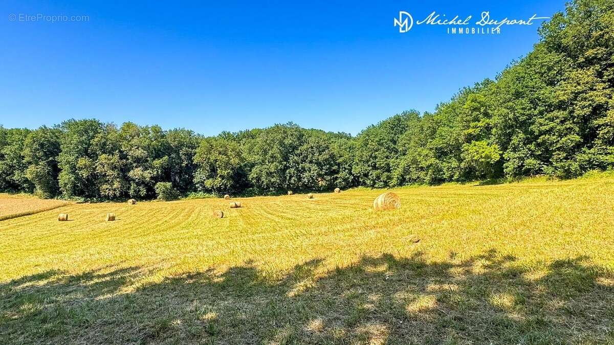 Photo 2 - Terrain à LIMEUIL