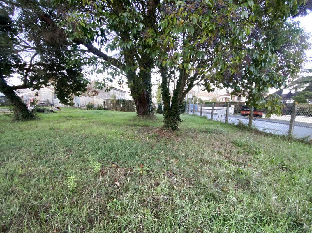 Terrain à LIBOURNE