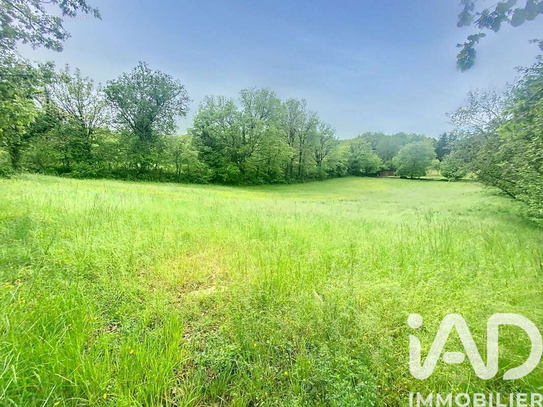 Photo 2 - Terrain à TERRASSON-LAVILLEDIEU