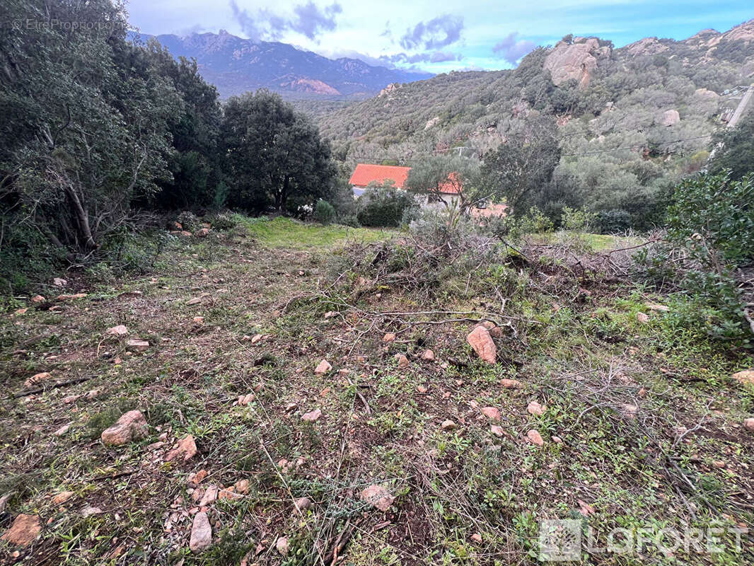 Terrain à FIGARI