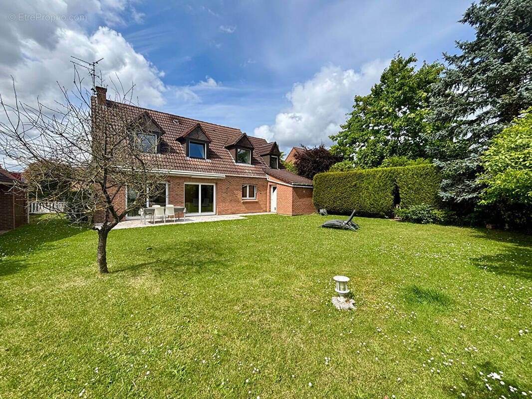 Maison à LINSELLES
