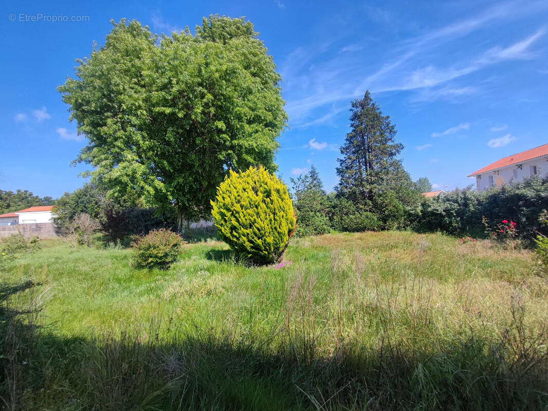 Maison à BISCARROSSE