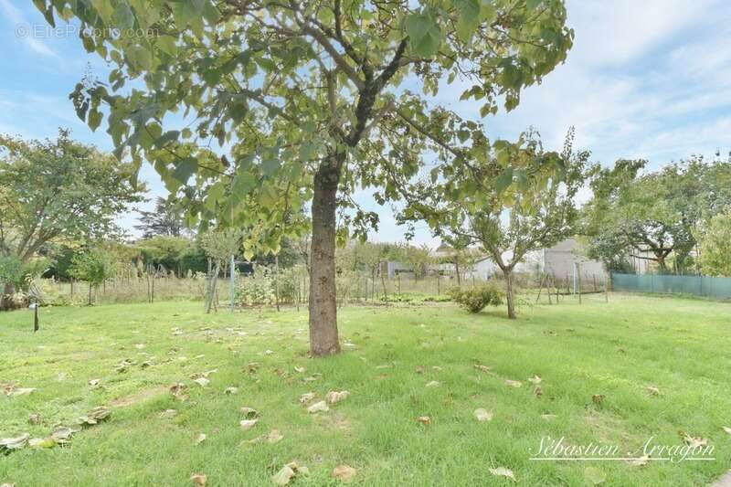 Maison à VILLENEUVE-SUR-LOT