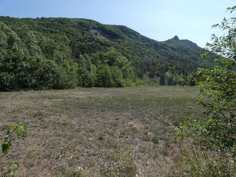 Terrain 3 170 m² à vendre à Le Saix (05400) - photo 2