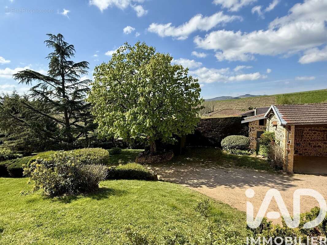 Photo 2 - Maison à LE BOIS-D'OINGT