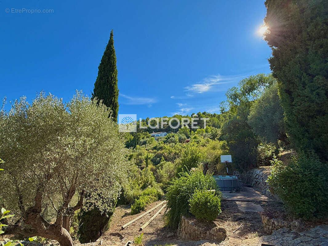 Maison à SOLLIES-VILLE