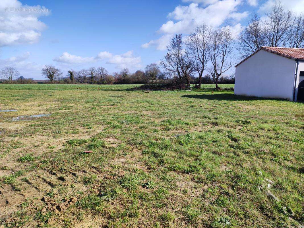 Terrain à SAINT-COLOMBAN