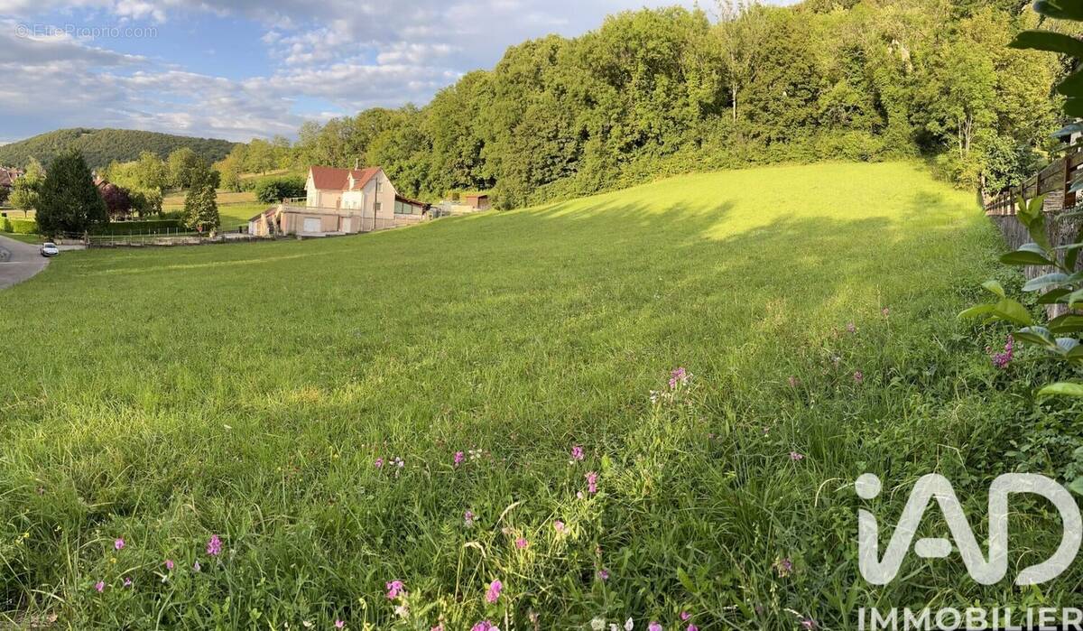 Photo 1 - Terrain à LONS-LE-SAUNIER