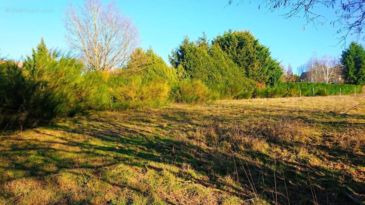 Terrain à BAZOCHES-SUR-GUYONNE