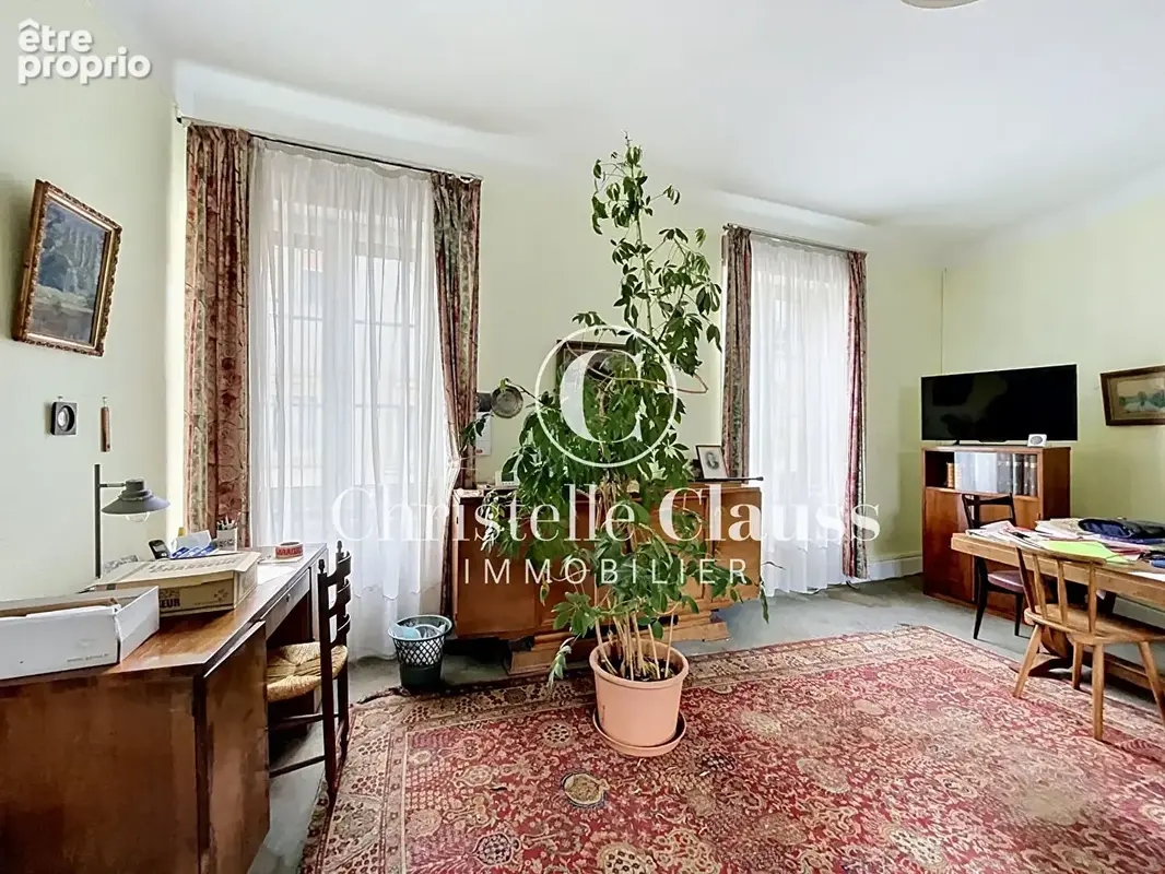 Immeuble Sélestat 251m² - photo 3