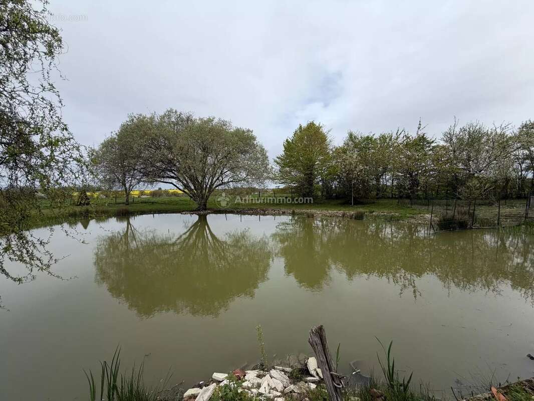Maison à VILLEDIEU-LE-CHATEAU