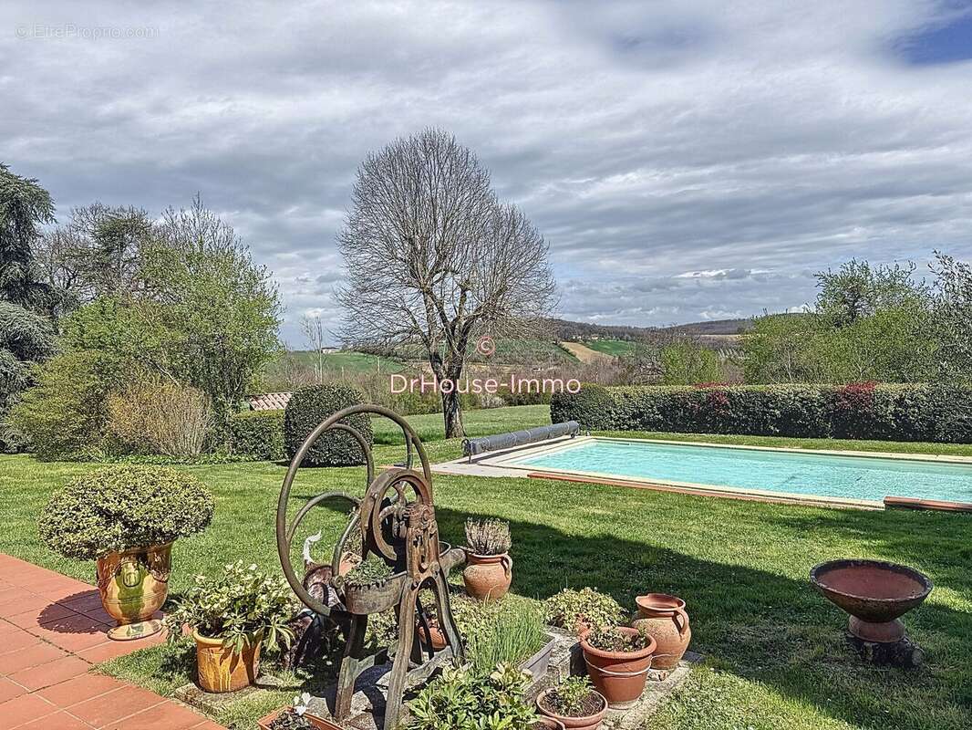 650 m² à Albi  - photo 6