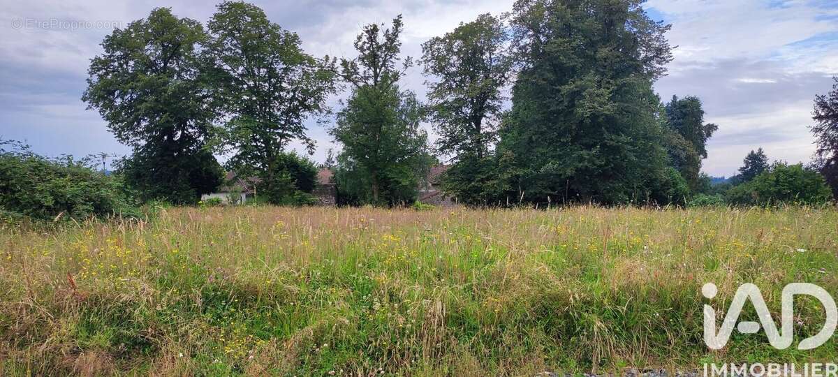 Photo 2 - Terrain à RAZES