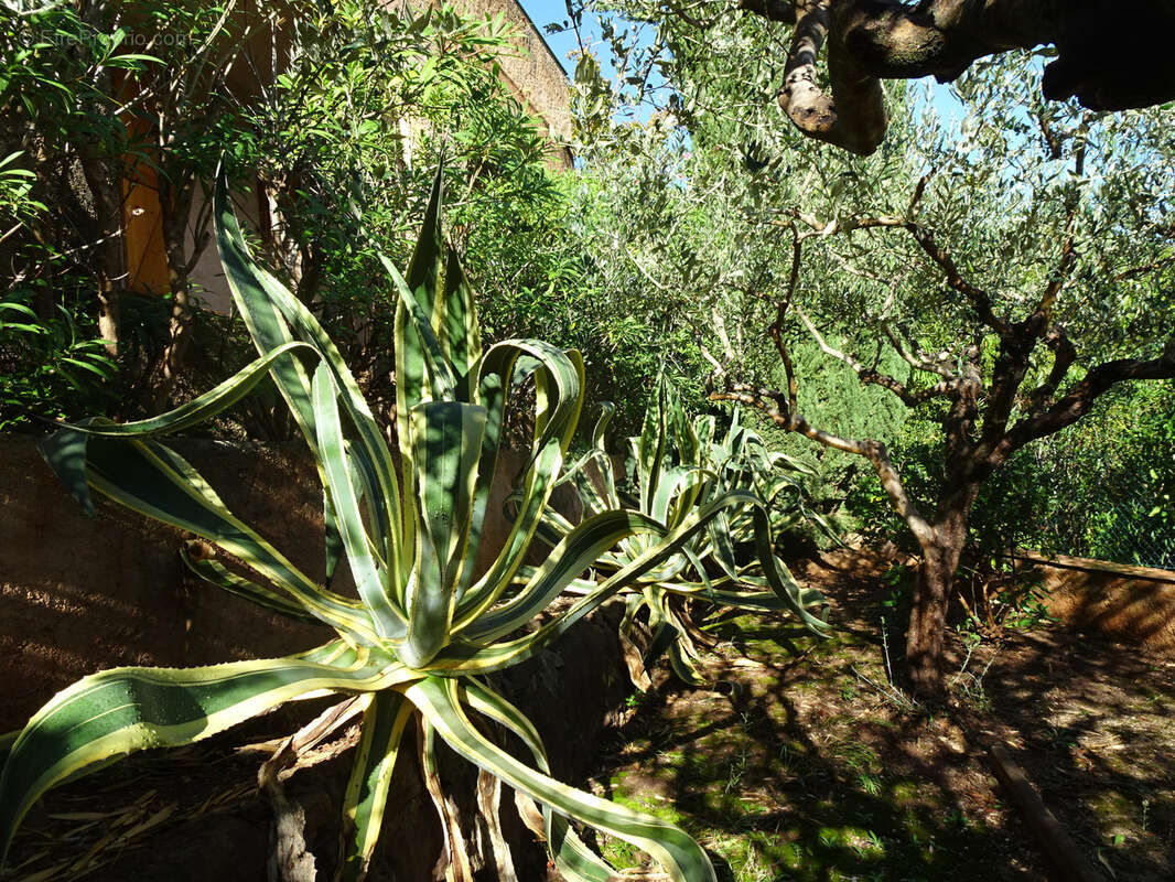 Maison à HYERES