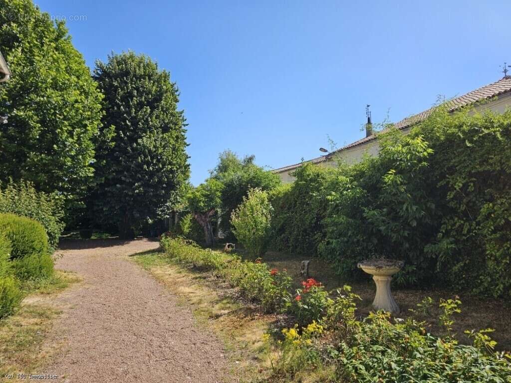 Belle Maison De Ville Avec Jardin Clos de Murs - photo 3