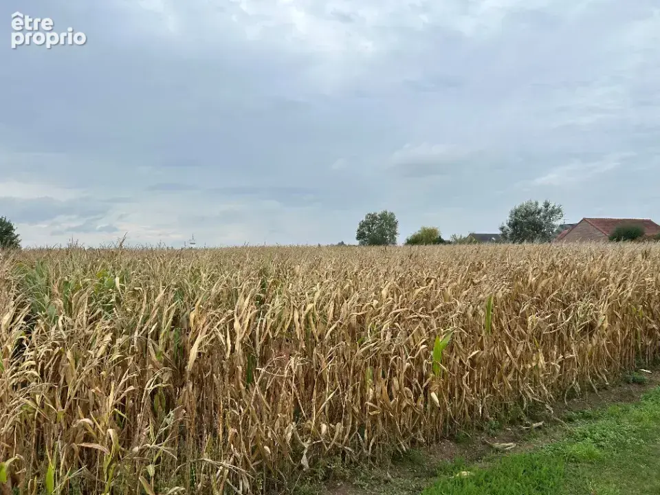 Photo Terrain à Hinges au prix de 132 000€