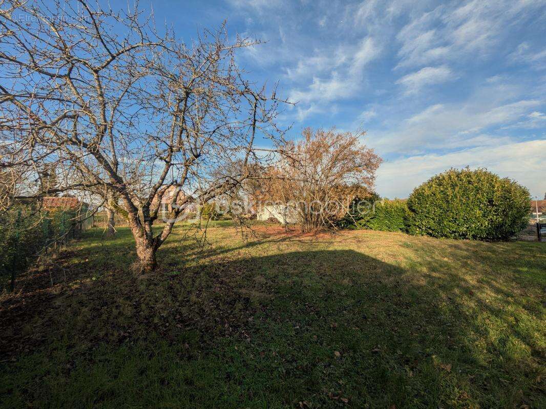 Terrain à GUIGNICOURT