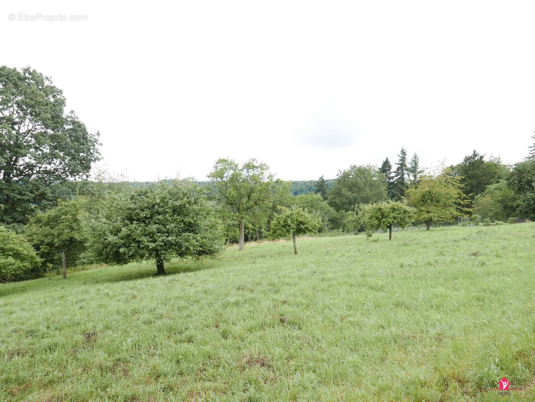 Terrain à LA PETITE-PIERRE