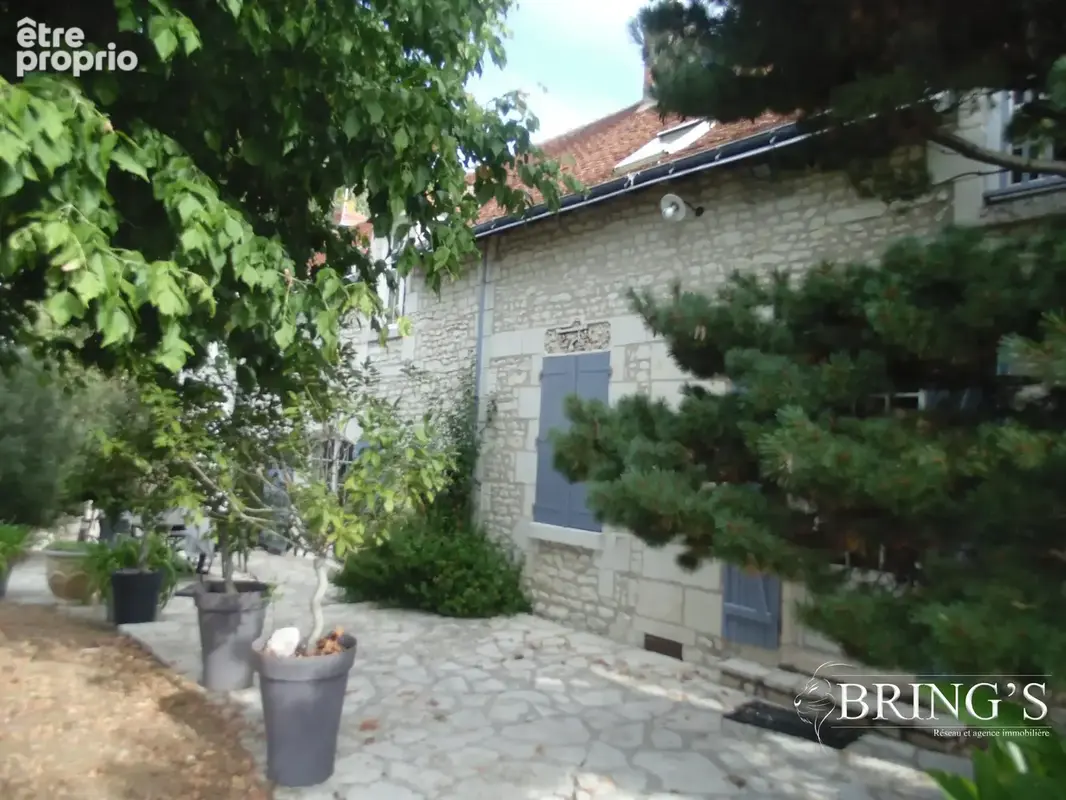 Maison 10 pièces 290 m² à vendre à Verneuil-Le-Chateau (37120) - photo 3