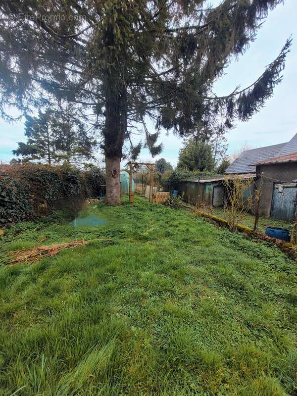 n°3 - Maison à NEUVILLE-COPPEGUEULE