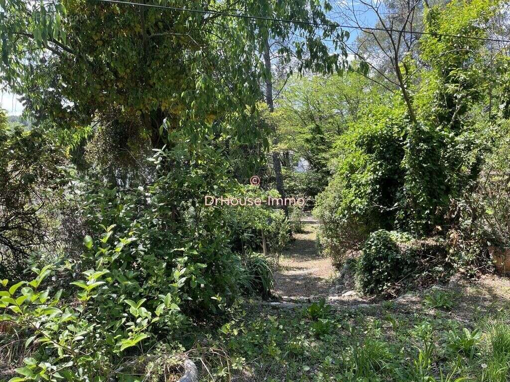 Terrain à MONTFERRIER-SUR-LEZ