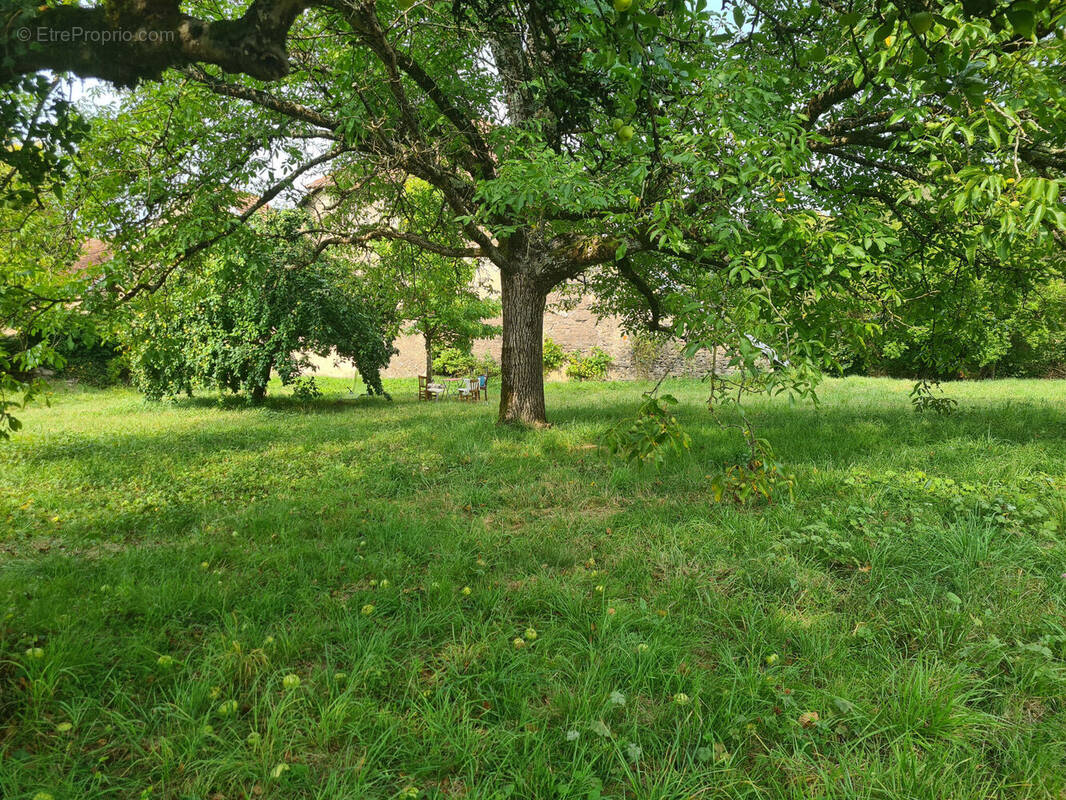Photo 1 - Maison à ROUGEMONT