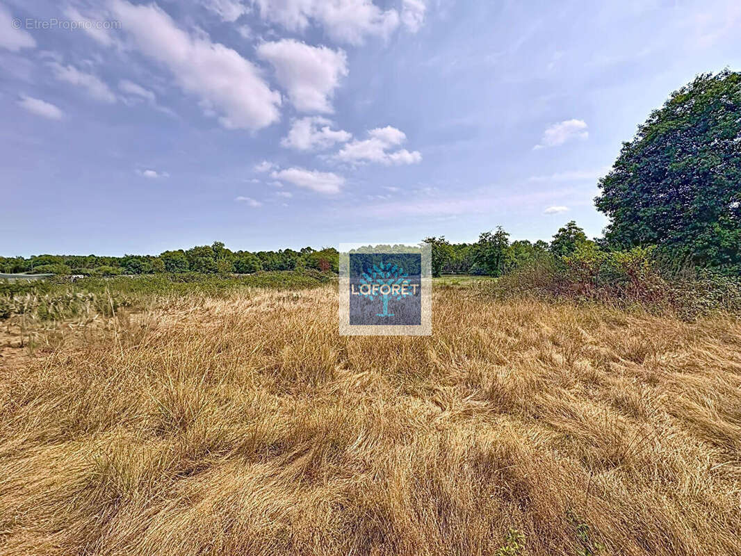 Terrain à ETAULIERS