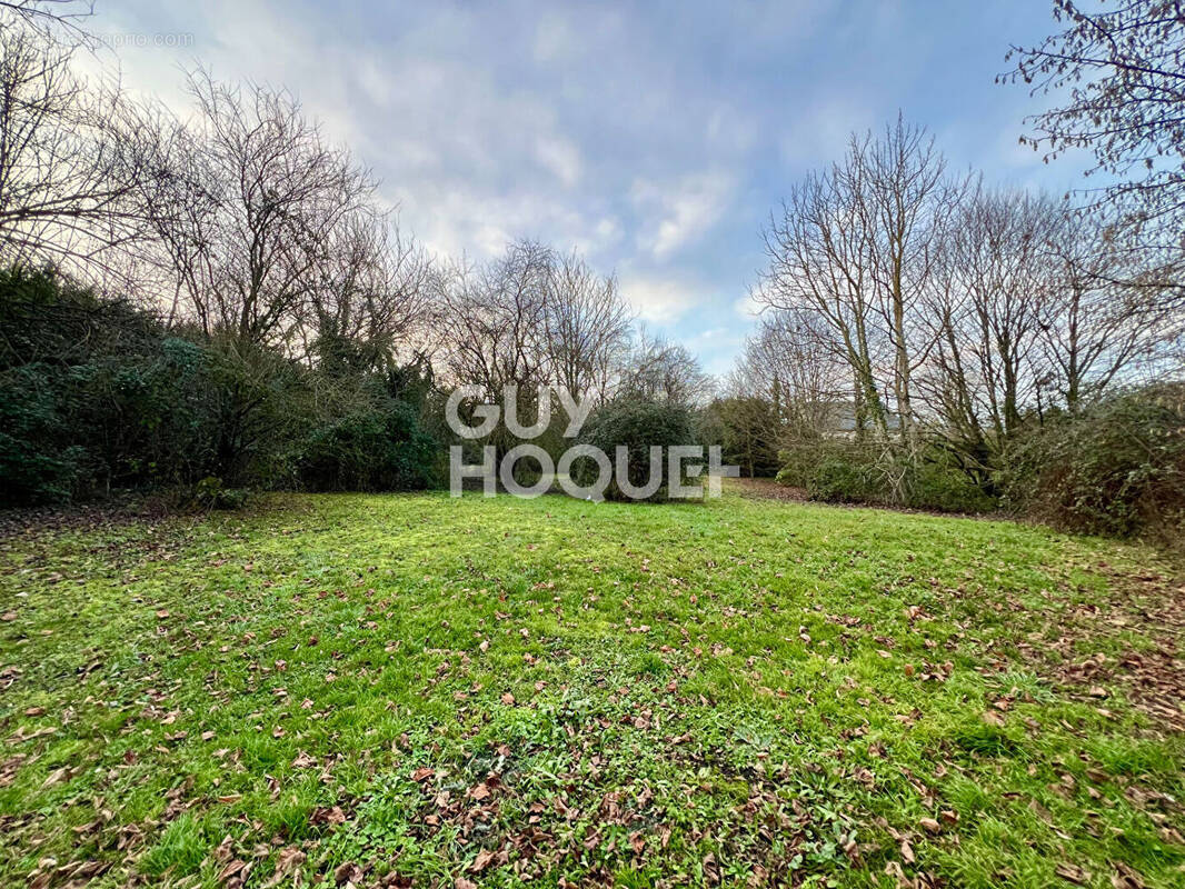 Terrain à REIGNAC-SUR-INDRE