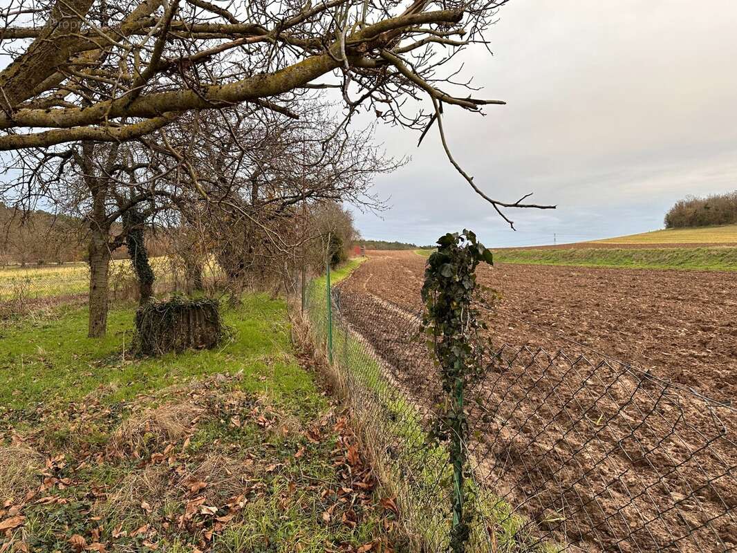 Terrain à VALPUISEAUX