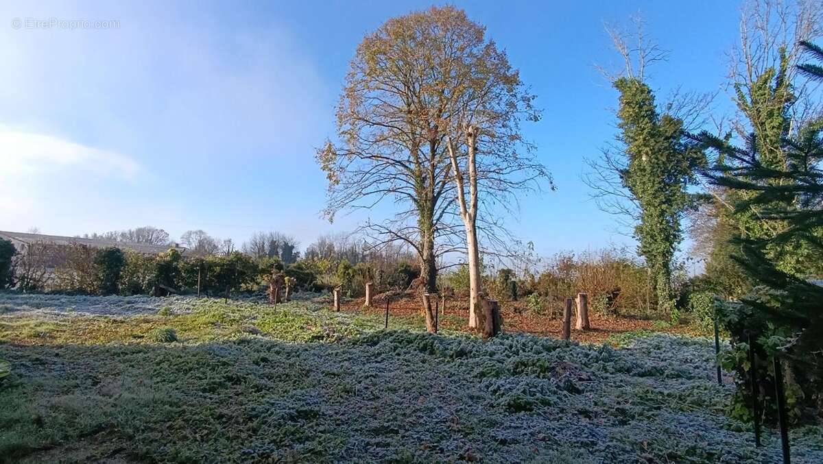 Maison à LA CHAPELLE-LASSON