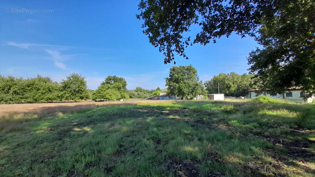 Saint vivien - terrain mixte    8100 m2 - photo 5
