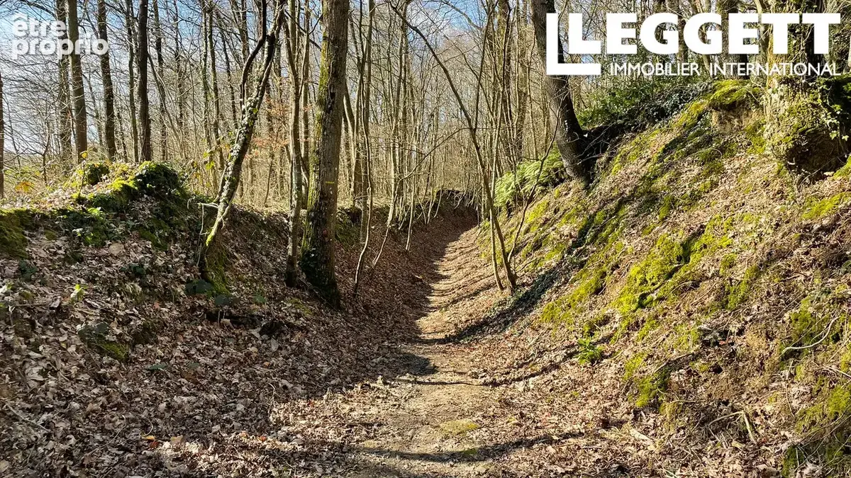 Un terrain boisé, un magnifique espace naturel au cœur de la Bretagne centrale - photo 6
