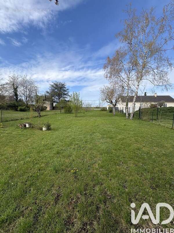 Photo 4 - Maison à SAINTE-THORETTE