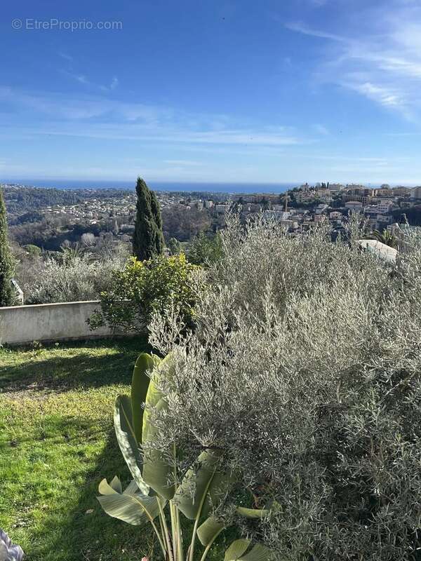 Vence - villa de charme vue mer - 5 chambres - photo 5