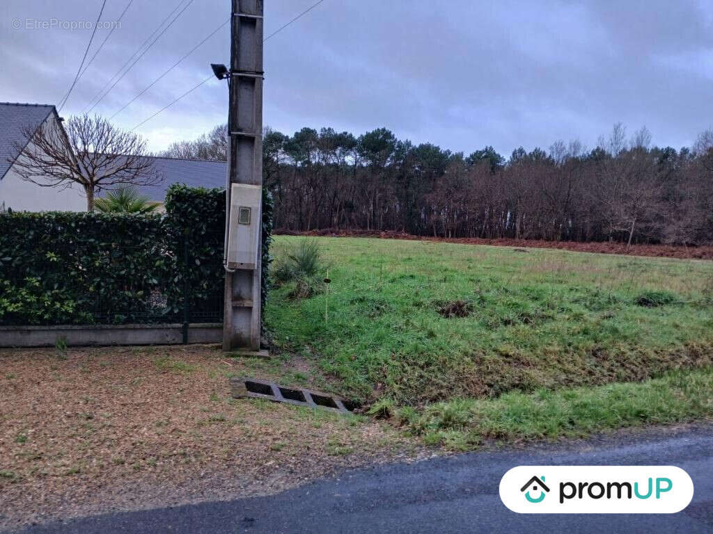 Terrain à SAINT-PHILBERT-DU-PEUPLE