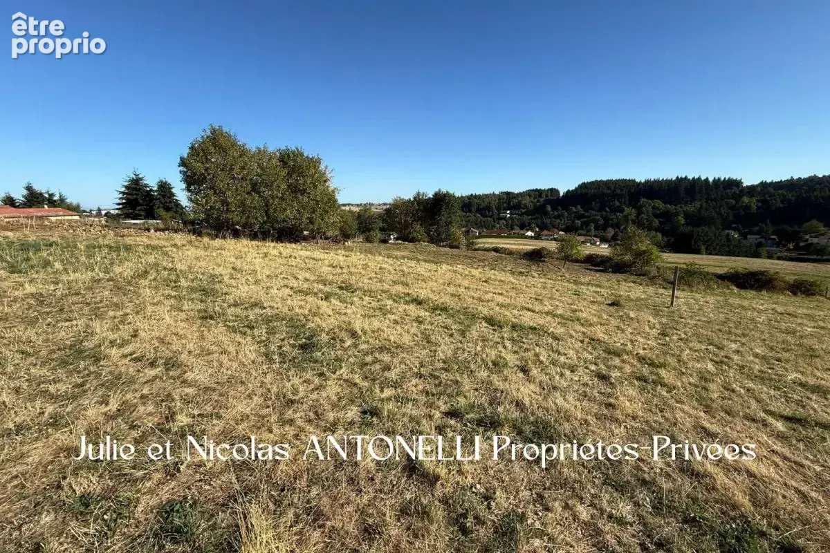 SAINT JUST MALMONT 43240 Terrain  1806 m² dont 800m² constructibles hors lotissement - photo 2