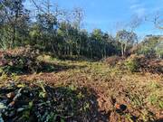 Terrain à LABASTIDE-DE-VIRAC