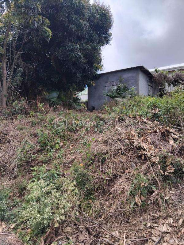 Terrain à ENTRE-DEUX