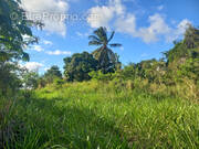 Terrain à VIEUX-HABITANTS