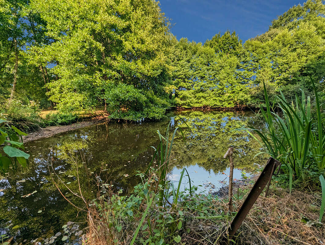 Maison de caractère avec deux étangs ? 146,3 m² ? Dépendance ? Terrain de 1,3 hectare ? Bazouges-la-Pérouse - photo 15