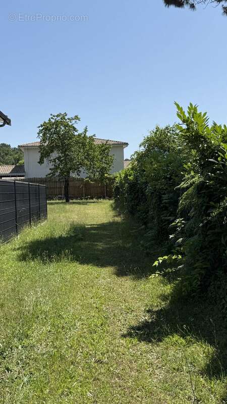 Terrain à GRADIGNAN