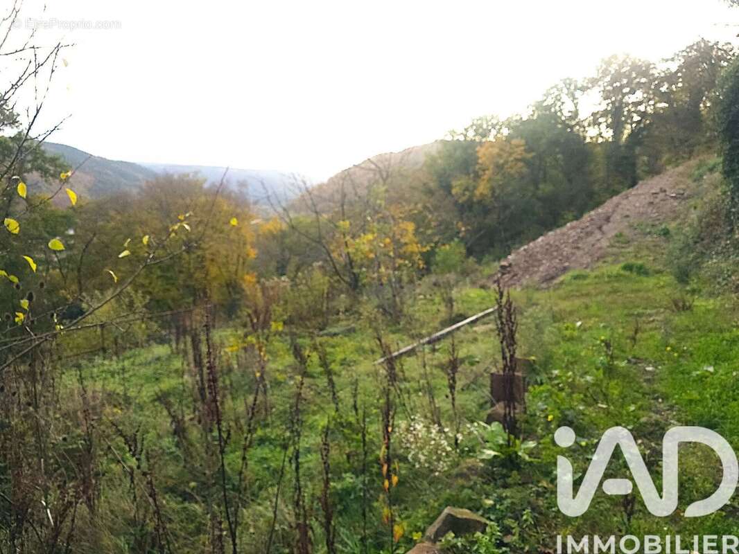 Photo 4 - Terrain à HEILIGENBERG