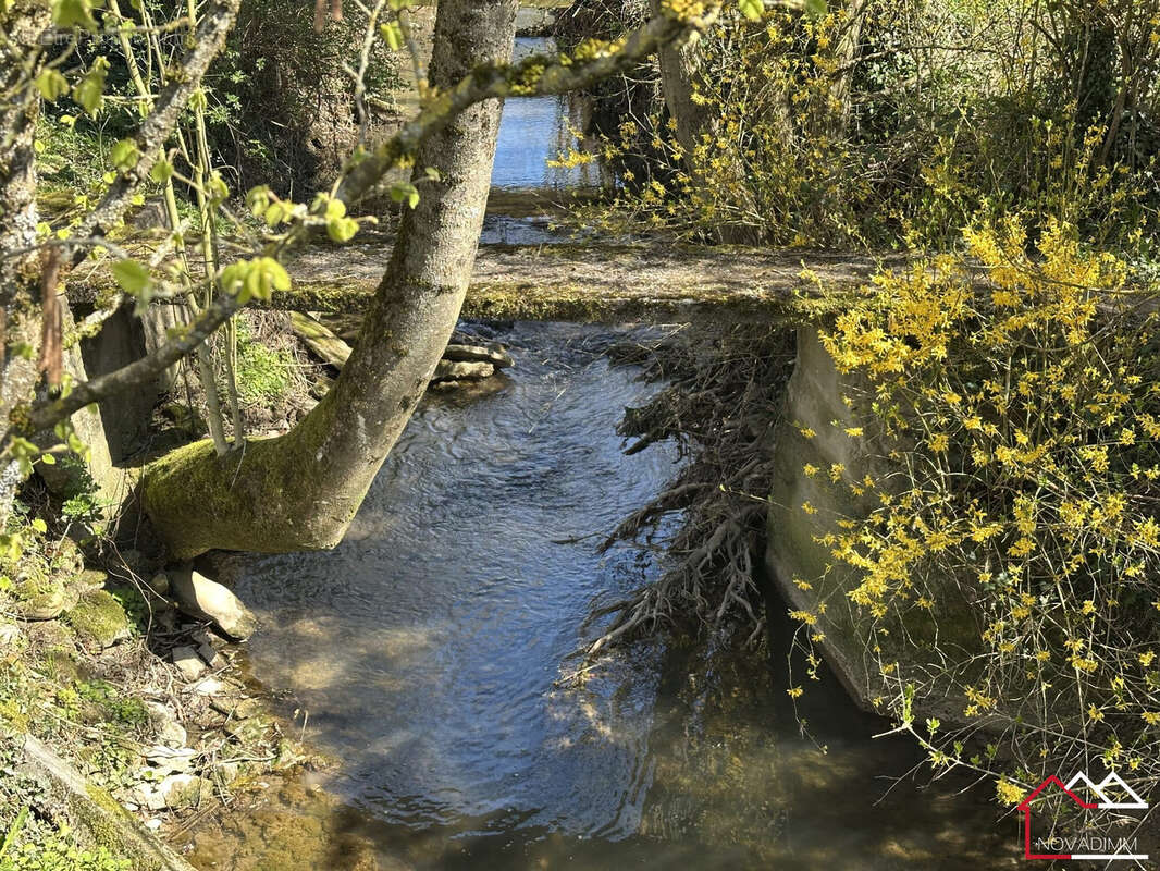 Terrain à HAUTE-VIGNEULLES