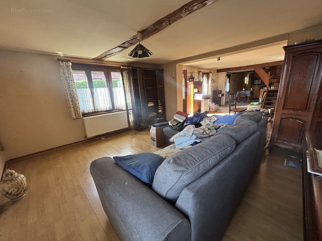 Flamande individuelle landas - photo 2